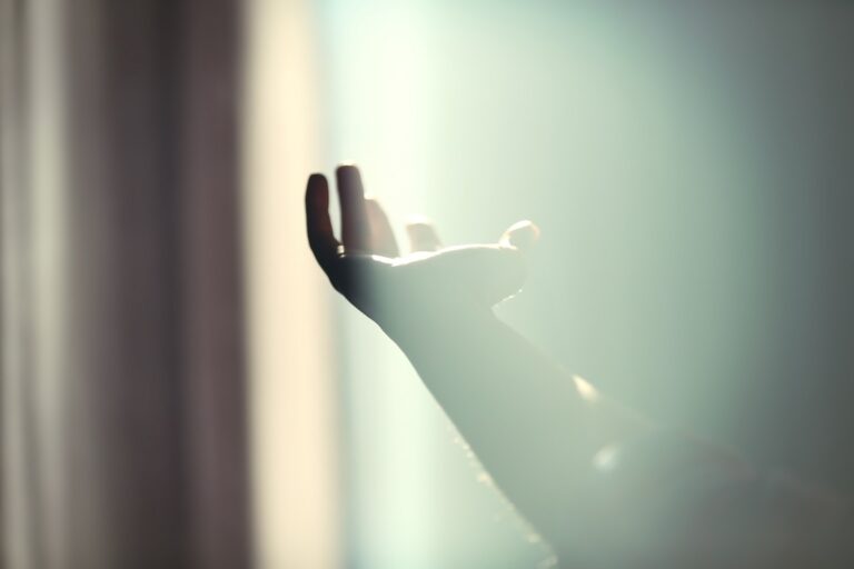 Person,Hand,Against,Daylight,Background