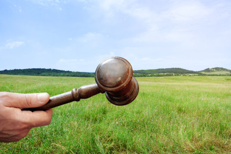 Wooden,Gavel,In,A,Hand,On,The,Land,Background