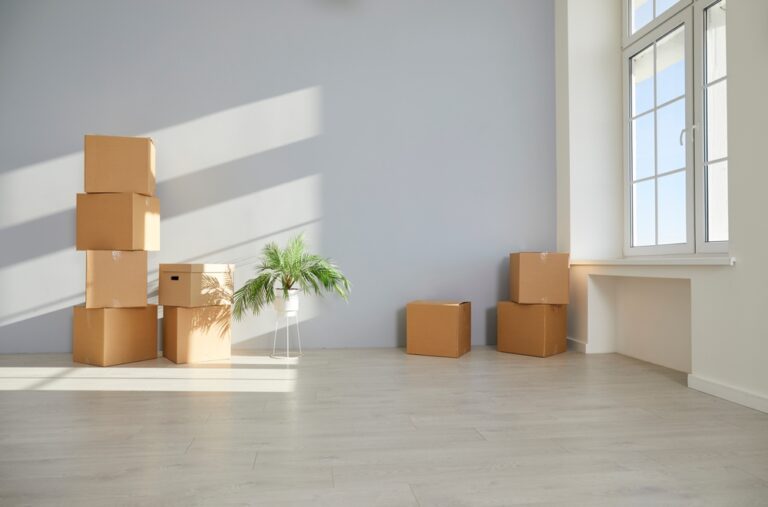 Unpacked,Cardboard,Boxes,With,Things,And,A,Green,Plant,Are